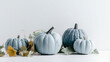 photo of blue pumpkins on a white background, fall concept, background with copy space