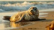 seal sunbathing on the beach generative ai