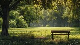 Fototapeta Krajobraz - park with an empty bench in the middle generative ai