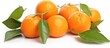 A bunch of oranges with green leaves on a white background. These fruits are natural foods and can be used as ingredients in cuisine, similar to plum tomatoes and bush tomatoes