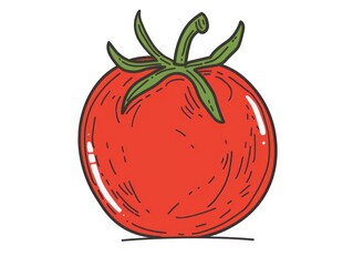 Wall Mural - tomato line art, white background