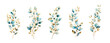 A set of five hand-painted watercolor branches with leaves, a range of blue, turquoise and gold hues, isolated on a white background, perfect for elegant design themes