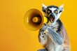 Lemur Animal Holding Megaphone with Yellow Background