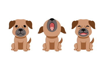 Wall Mural - Set of vector cartoon character cute brown dog for design.