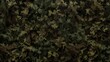 © ORG - military camouflage background Green and brown military camouflage pattern