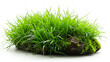  Green moss with grass isolated on white background, Green fresh lawn grass, 