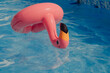 Rubber Flamingo swimming in a pool