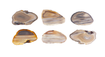 Canvas Print - specimen of polished agate slice isolated on white background