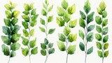 Fototapeta  - Green Leaf Branches Watercolor Illustration Set Generative AI