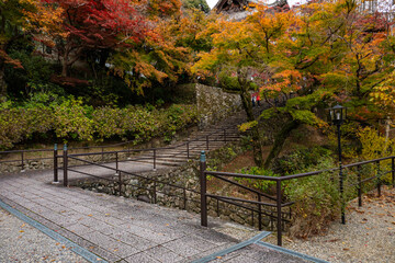 Wall Mural - 奈良県　長谷寺の紅葉