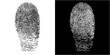 © Bysyawn - fingerprint vector texture