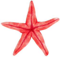 Sticker - Starfish or sea stars watercolor illustration