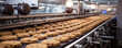 Factory on cake cookies. Fresh cooked Cookies on industrial conveyor.