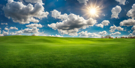 Wall Mural - fresh springtime lawn under sunny sky