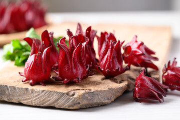 Wall Mural - Fresh roselle (Hibiscus sabdariffa), Herbal plant, ingredient in beverage