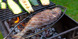 Dorado fish is cooked on the grill, on coals in the garden.