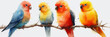 parrot bird watercolor