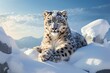 Frigid Snow leopard winter. Cute cat. Generate Ai