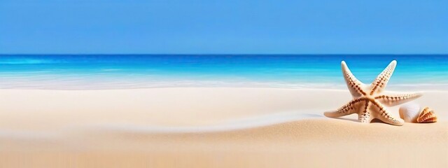Wall Mural - beach summer panoramic background with seashells and starfish.