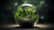 Eine isolierte Welt aus Bäumen, Pflanzen und Felsen in einer Glaskugel.