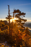 Fototapeta Krajobraz - Sunny Winter Sunrise In the Mountain
