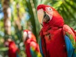A vibrant red macaw gazes with curiosity, its feathers a brilliant display of colors amid a lush backdrop.