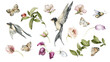 © 60seconds - Watercolor floral set. Hand painted flowers, greenery, green leaves, leaf, birds, butterfly, spring insects isolated on white background. Botanical illustration for design, print or background