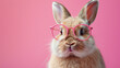 a funny rabbit with pink glasses