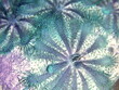 fleischfressende Pflanze Sonnentau Drosera, abstrakt, leuchtend bunt, Farben blau und grün 