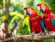 Two scarlet macaws perched on a branch, vibrant and colorful against a lush green backdrop.