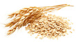 © Rosie - oat spike with oat flakes isolated on transparent background