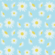 © sacredolga - Daisy flower seamless on blue background illustration. Pretty floral pattern for print.