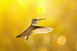 Backlit Hummingbird Hovering in Sunlit Splendor on Golden Canvas Generative AI