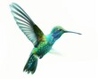 Iridescent Hummingbird in Mid-Flight on Pristine White Backdrop Generative AI