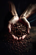 Hands cradle coffee beans, offering a promise of warmth and energy, a prelude to the beloved brew.