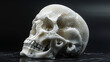 Human Skull with Honeycomb Texture