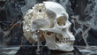 Artistic Skull with Coral Texture in Contrast with Marble..Artistic Skull with Coral Texture in Contrast with Marble..