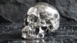 Reflective Metallic Skull on Black Marble