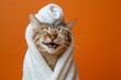 © Александр Лобач - A happy morning image. A red-haired cat in a bathrobe and with a towel on his head rejoices on an orange background