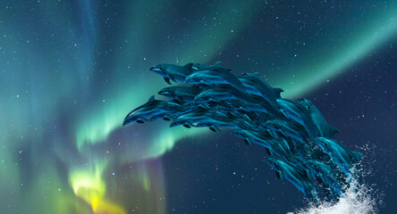 Poster - Group of dolphins jumping on the water with aurora