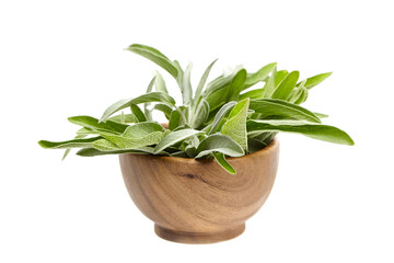 Wall Mural - A wooden bowl filled with green sage leaves, isolated on a white background