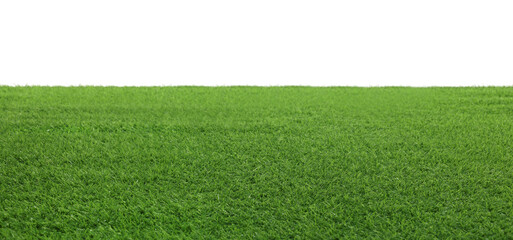 Meadow with bright green grass on white background, banner design