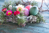 Fototapeta Tulipany - Colorful easter eggs in a herb nest with spring flowers on weathered rustic wooden table. Background with short depth of field. Close-up.