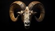 statue of a ram's head with large, curved horns on a black background