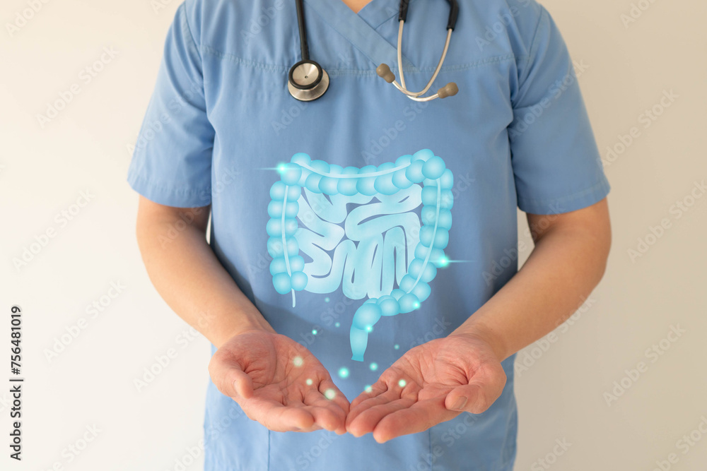 Healthy intestine anatomy on doctor hands. Concept of healthy bowel digestion, colon cancer screening, intestinal disease treatment or colorectal cancer awareness.
