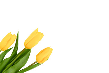  Set isolated tulips single and bouquets on white background with clipping path. Flowers objects for design, advertising, postcards. Spring blossom nature layout, beautiful flowers. Mockup.