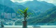 Clean workspace with potted plant desk and mountain view through window . Concept Workspace Setup, Potted Plant, Mountain View, Clean Desk, Productivity Environment