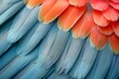 This macro image showcases parrot feathers with a focus on the blue tones and texture, evoking a cool and natural feel