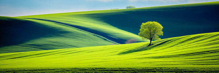 Wall Mural - a tranquil day in the countryside