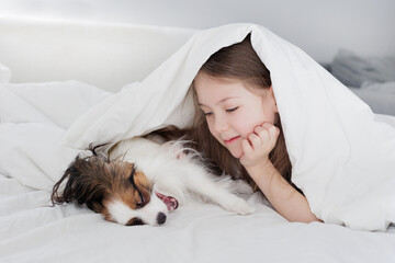 Wall Mural - little preschool girl looking on her cute sleeping dog on the bed